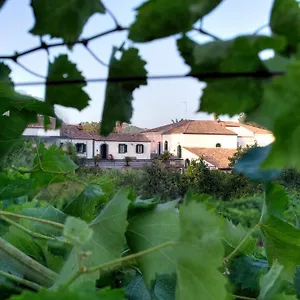 Etna , Piedimonte Etneo Italie